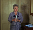 The Foster Lady