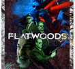 Flatwoods