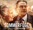 Lille sommerfugl