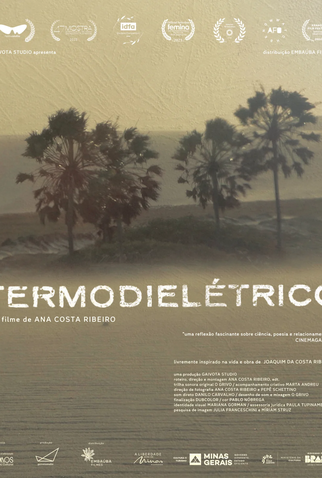 Poster 1 de Filme Termodielétrico (2023)