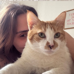 Foto de perfil de Isabella de Araujo