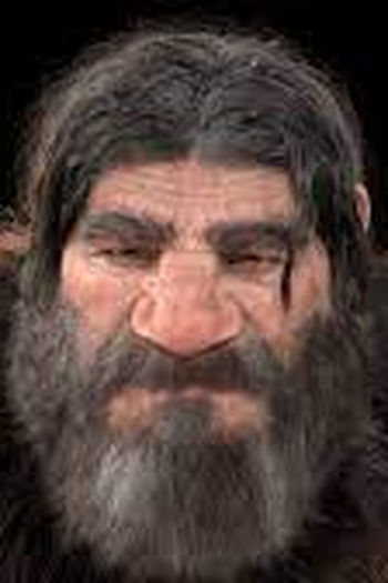  de Curta Stranded (2020)