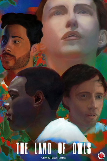 Poster de Filme The Land of Owls (2021)