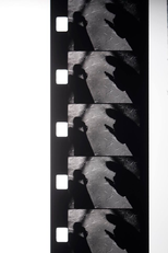 Livro de haikais (Livro de haikais)