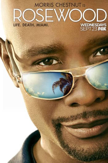 Poster de Série Rosewood (1ª Temporada) (2015)