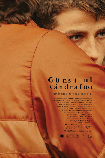 Poster de Curta Explosões da Vida Selvagem (2019)