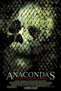 Anaconda 2: A Caçada pela Orquídea Sangrenta - Poster / Capa / Cartaz - Oficial 3