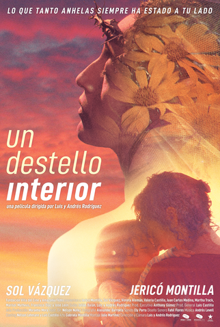 Poster 1 de Filme Um Lampejo Interior (2020)