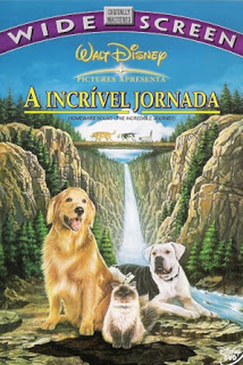  de Filme A Incrível Jornada (1993)