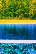 Log Abstract 1989 (Log Abstract 1989)