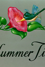 Verão Musical (It's Hummer Time)