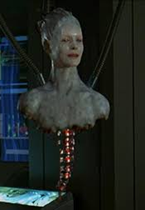 O Coletivo Borg: A Rainha (The Borg Collective: The Queen)