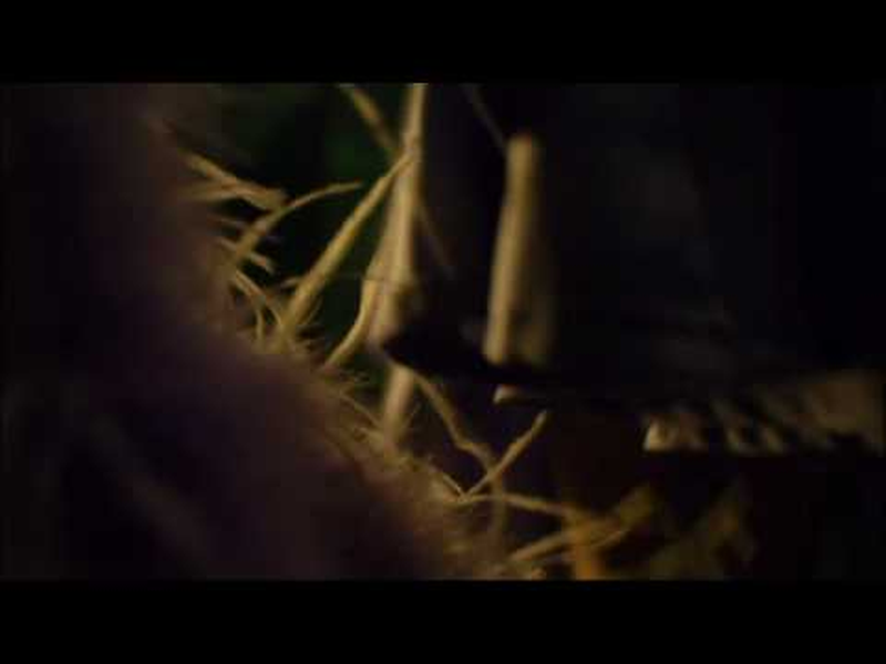 Foto 6 de Las Meninas