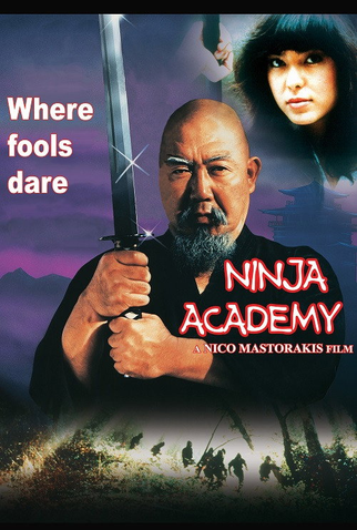 Poster 4 de Filme Loucademia de Ninjas (1989)