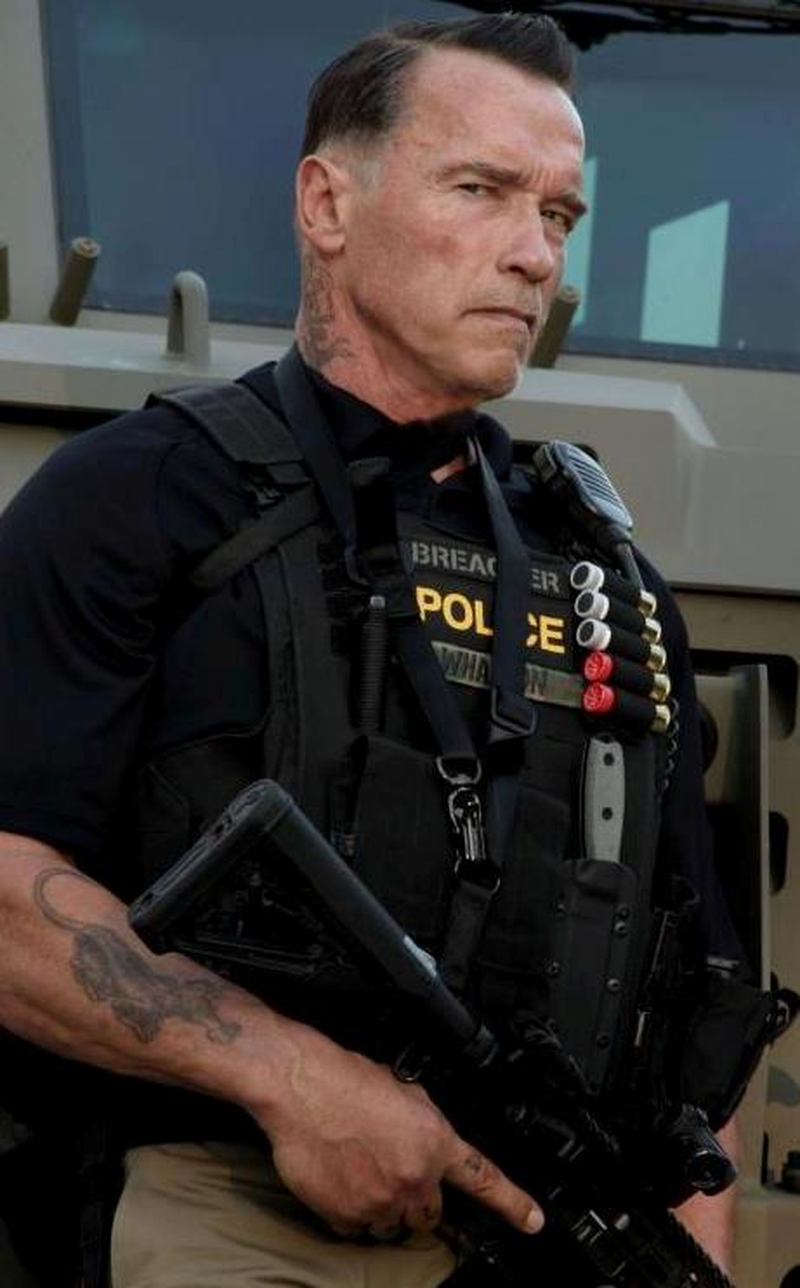 Arnold Schwarzenegger - Foto 8