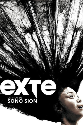  de Filme Extensões Capilares (2007)