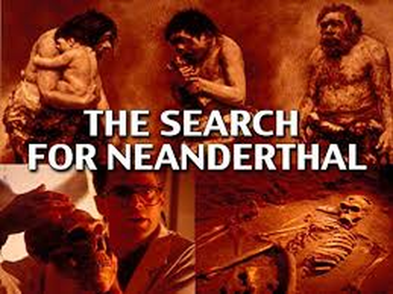 Foto 3 de Archaeology