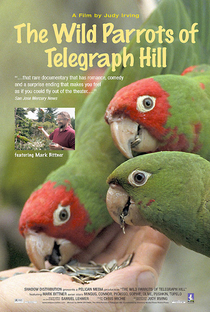 Os Papagaios Selvagens de Telegraph Hill - Poster / Capa / Cartaz - Oficial 1