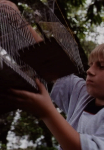 O Velho do Saco (O Velho do Saco)