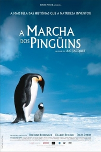  de Filme A Marcha dos Pinguins (2005)