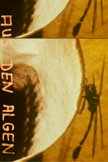 Aus den Algen (Aus den Algen)