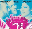 Fruit Fly