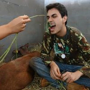 Foto de perfil de Matheus