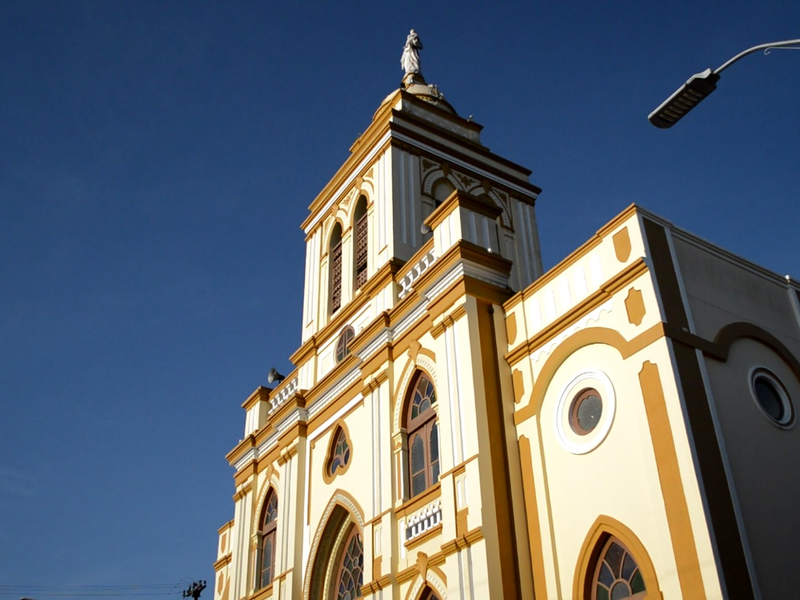 Foto 9 de O Guará e o Anum