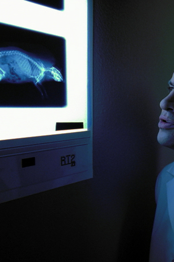 Poster de Curta Small Emergencies (2002)