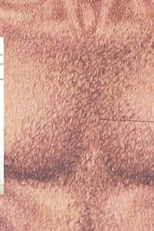 Pornô Anos 80 (Pornô Anos 80)