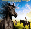 The Dark Horse