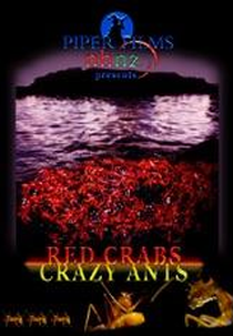 Red Crabs Crazy Ants (Red Crabs Crazy Ants)