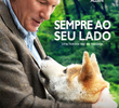 Sempre ao Seu Lado