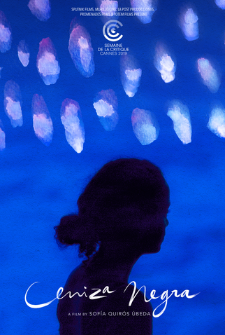 Poster 2 de Filme Terra das Cinzas (2019)