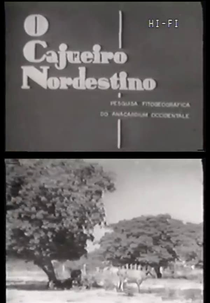 O Cajueiro Nordestino (O Cajueiro Nordestino)