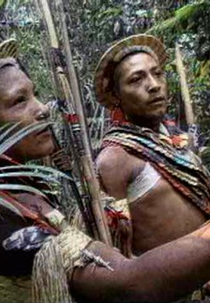 Índios no Brasil - Primeiros contatos (Índios no Brasil - Primeiros contatos)