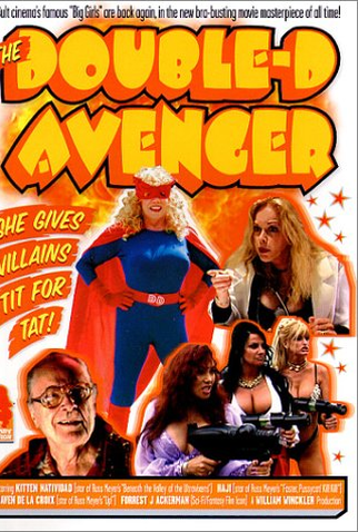 Poster 1 de Filme The Double-D Avenger (2001)