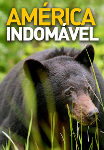 América Indomável (Untamed Americas)