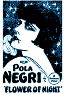 Flor da Noite (Flower of Night)