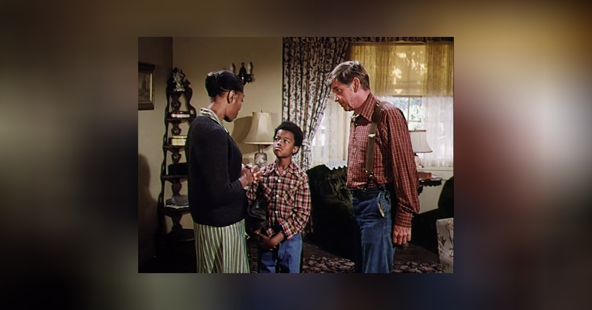 The Stray: episódio de 1977 - Filmow