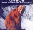 Ursos - Uma Aventura Selvagem
