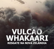 Vulcão Whakaari: Resgate na Nova Zelândia