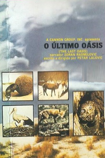 Poster de Filme O Último Oásis (1983)