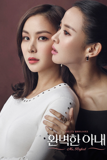 Poster de Franquia 완벽한 아내 (2017)
