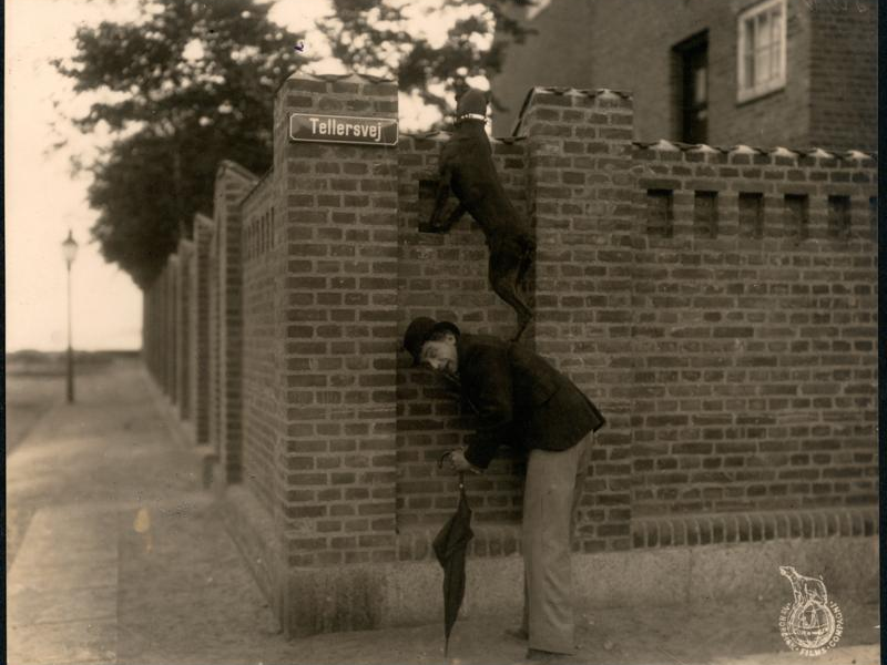 Foto 8 de Four-legged Sherlock Holmes