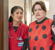 Listen to Your Ladybugs