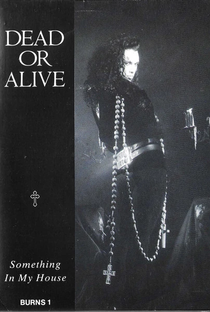 Dead or Alive: Something in My House - Poster / Capa / Cartaz - Oficial 1