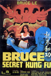 Bruce's Secret Kung Fu - Poster / Capa / Cartaz - Oficial 1