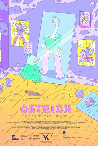 Poster 1 de Curta Avestruz (2025)