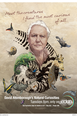 Curiosidades da Natureza com David Attenborough (David Attenborough's Natural Curiosities)